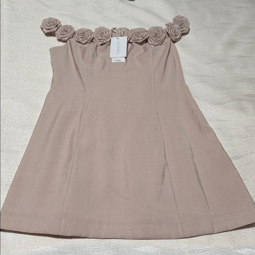 LUCYPARIS Dress in Soft Pink with Floral Details